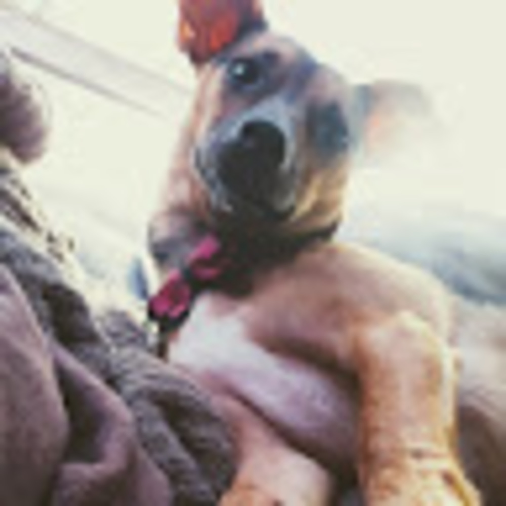 Meet your Posher, Starbrightz